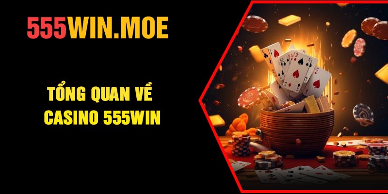 Tổng quan về Casino 555Win